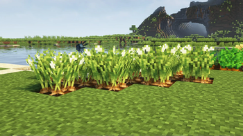 (Bee's) Fancy Crops 16x vanilla plus Minecraft texture pack screenshot 4
