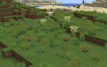 Os' Colorful Grasses vanilla plus Minecraft texture pack screenshot 2